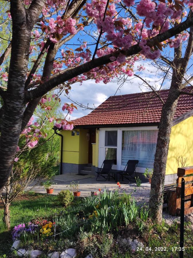 Kuca Za Odmor Tina Apartment Tounj Exterior photo